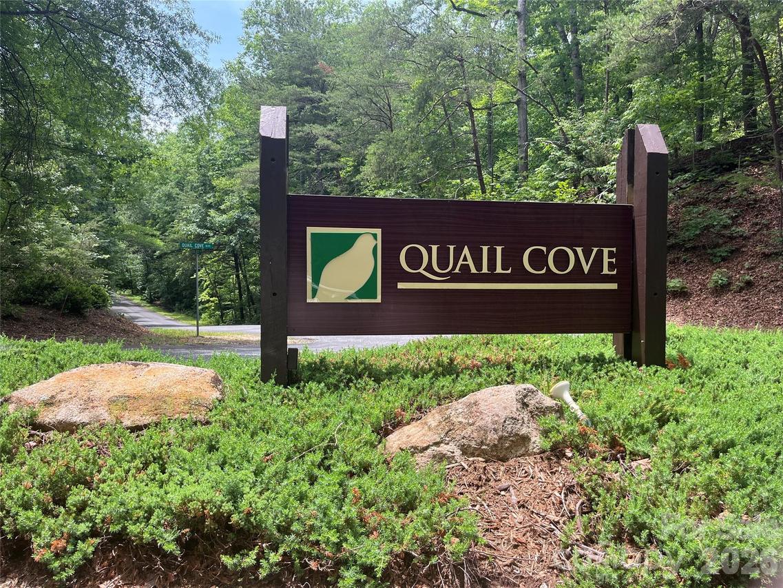155 Quail Cove Blvd. #1608, Lake Lure, NC 28746