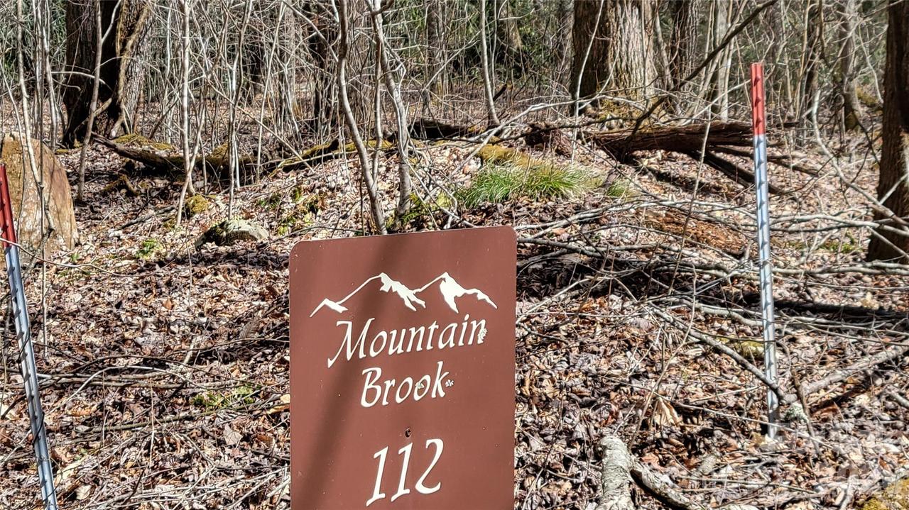 112 Rainbow Trout Rd., Burnsville, NC 28714