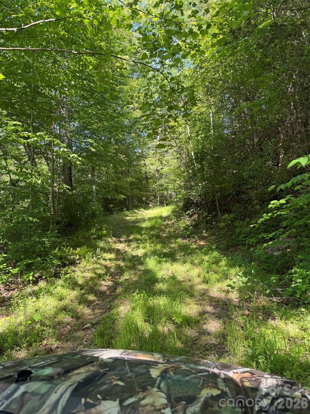 Lot 8 Parker Padgett Rd., Old Fort, NC 28762
