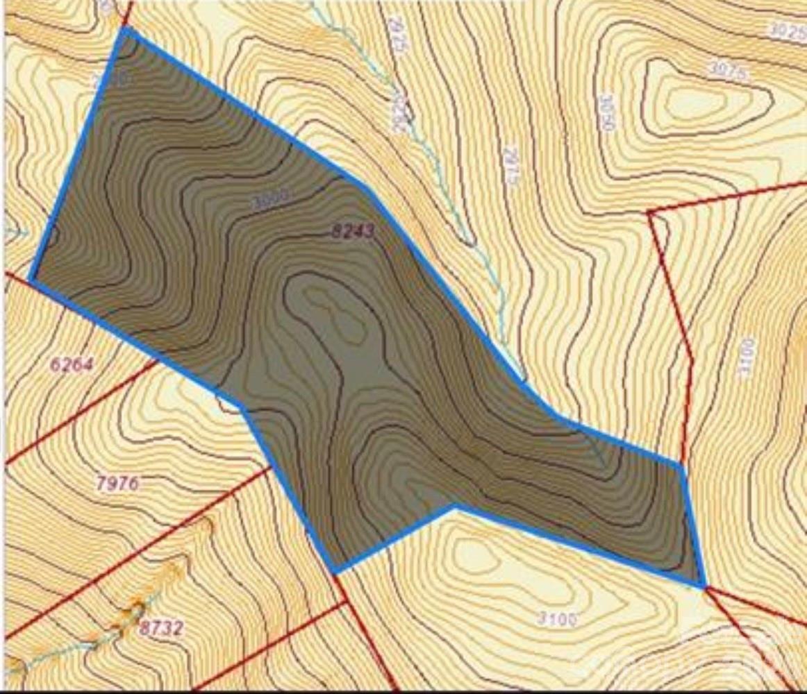 99999-24 Nesbitt Chapel Rd., Fairview, NC 28730