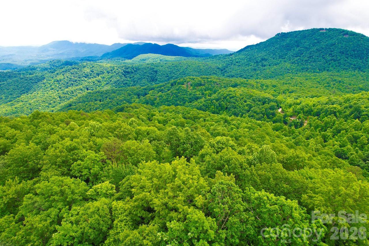 215 Laurel Mountain Tr. #10, Black Mountain, NC 28711
