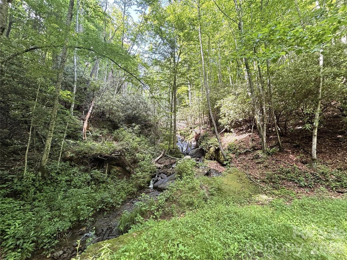 000 Valley View Dr., Maggie Valley, NC 28751