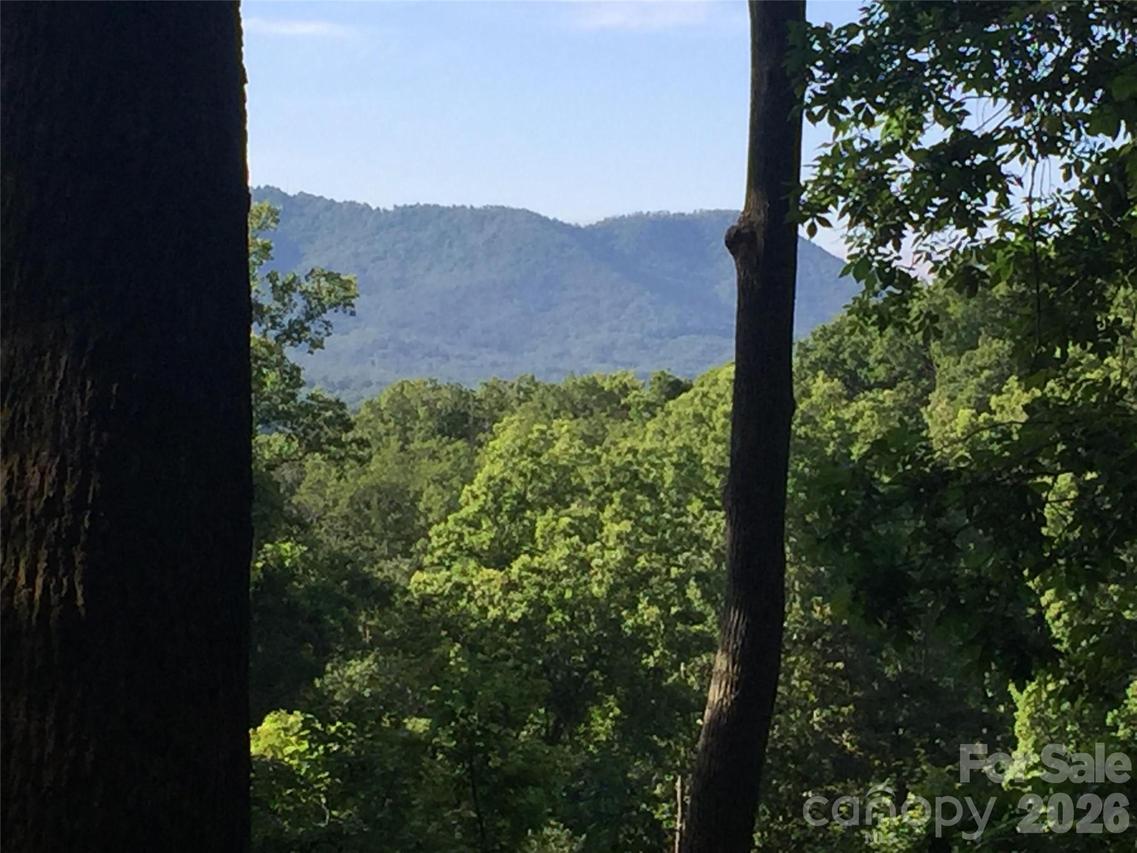 20 La Grange Dr., Asheville, NC 28805