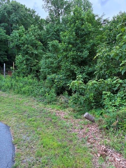 97 Devin Ridge Ln., Union Mills, NC 28167