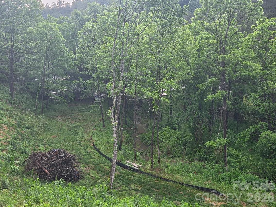 374 Big Branch Dr. #Lot 2 D, Mars Hill, NC 28754