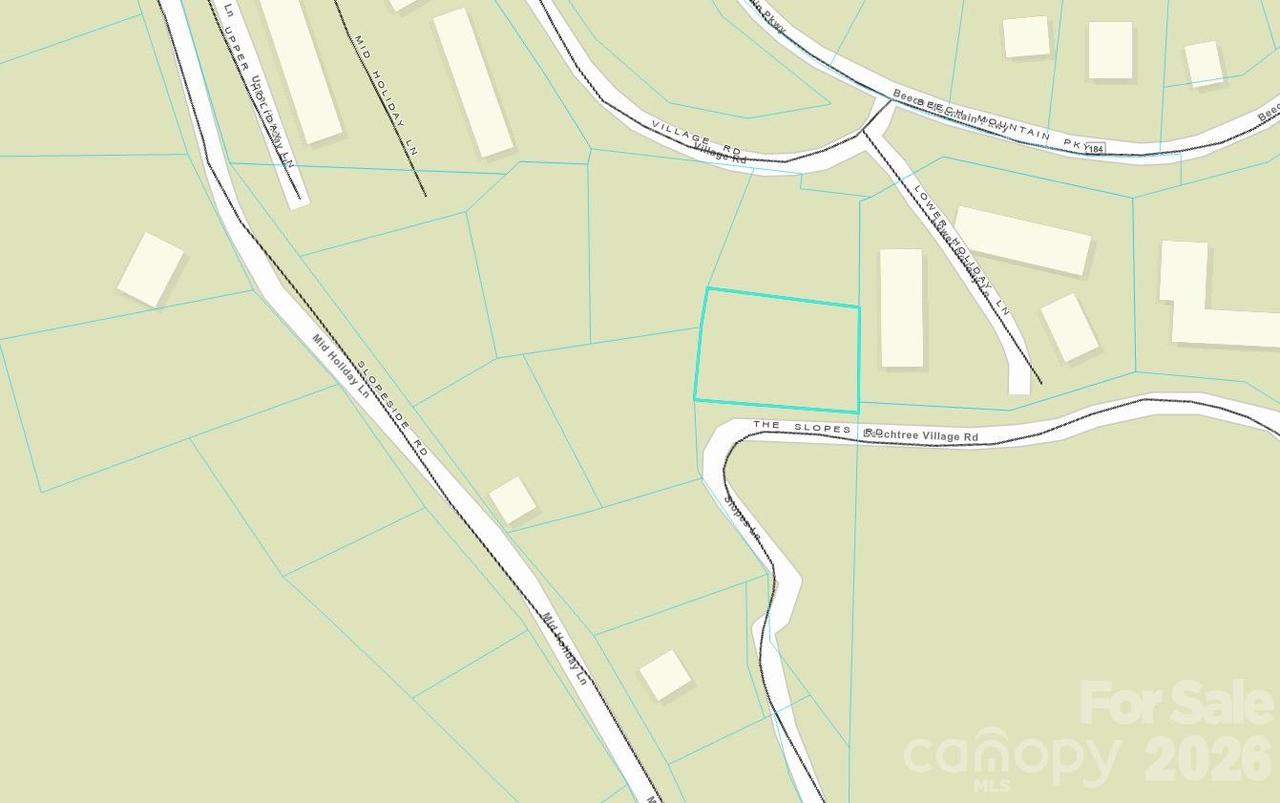 100 Ski Beech Rd., Beech Mountain, NC 28604