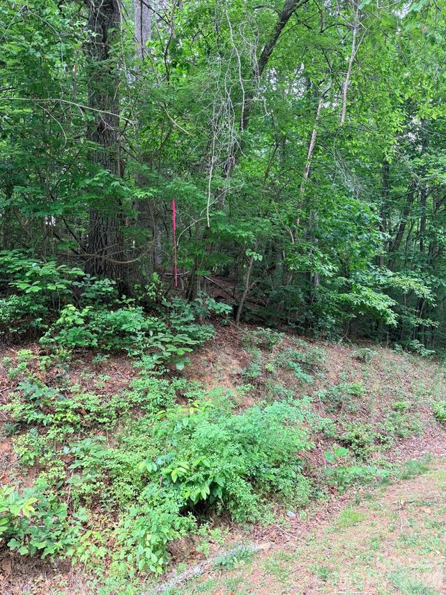 TBD N Marley Ford Rd., Ferguson, NC 28624