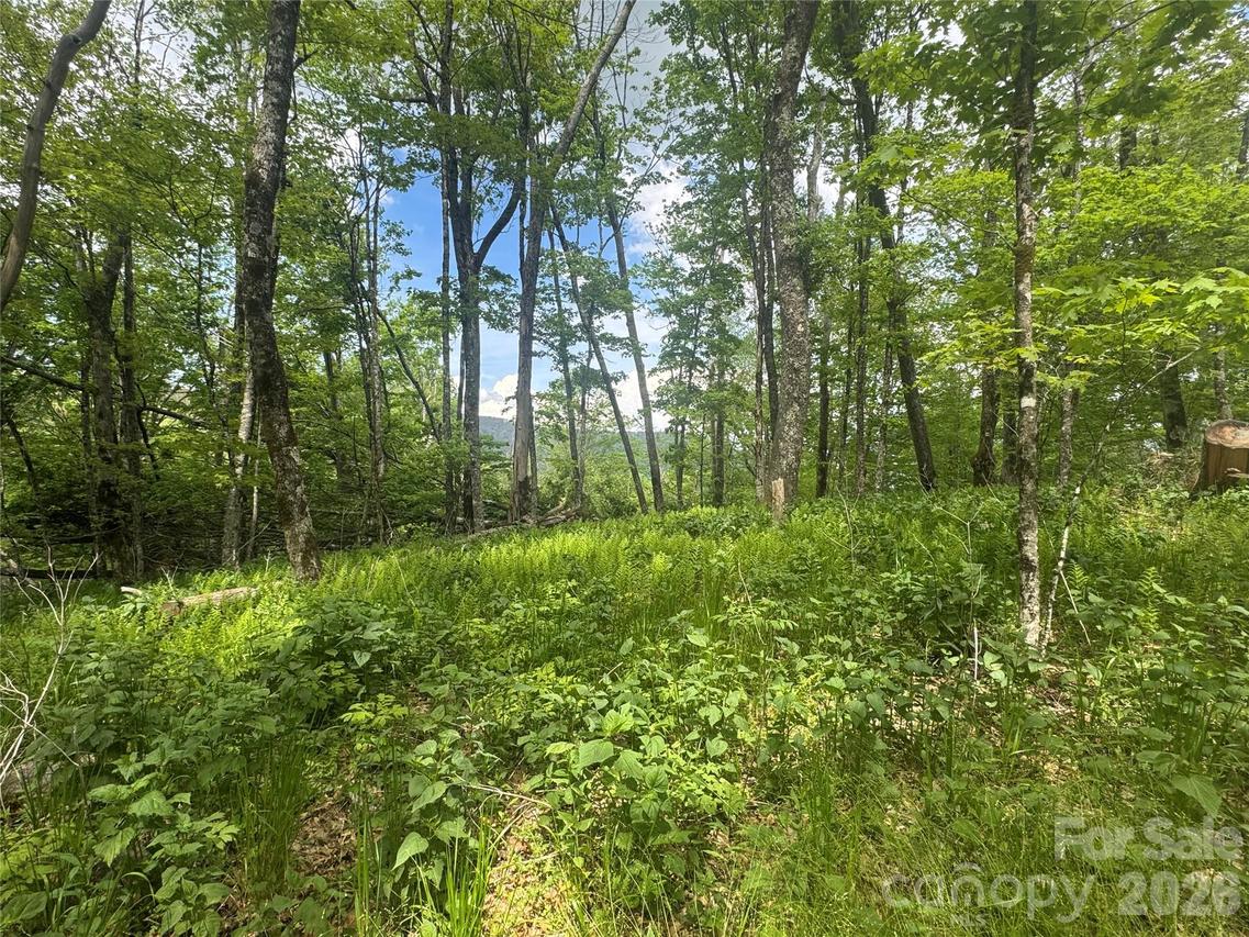 1026 Wolfs Head Ct., Mars Hill, NC 28754