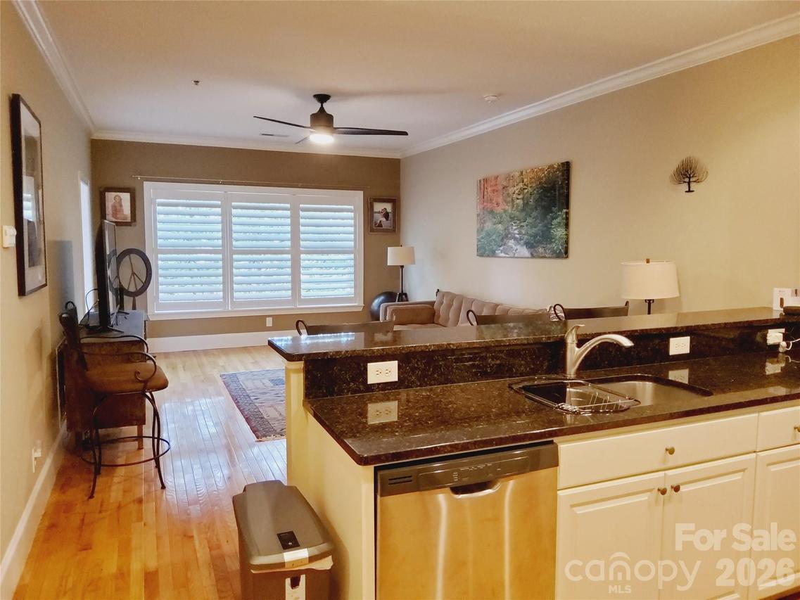 155 S Lexington Ave. #203, Asheville, NC 28801