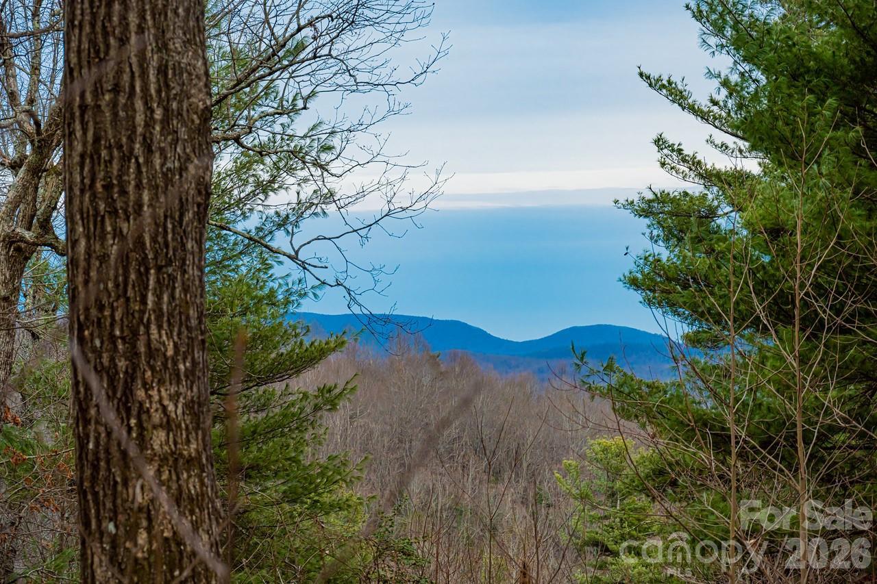 000 Hollybrook Dr. #S-15, Flat Rock, NC 28731