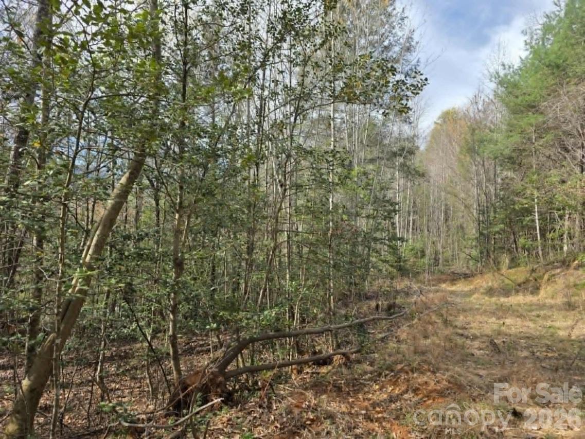 Lot 5 Kerlee Ln., Old Fort, NC 28762