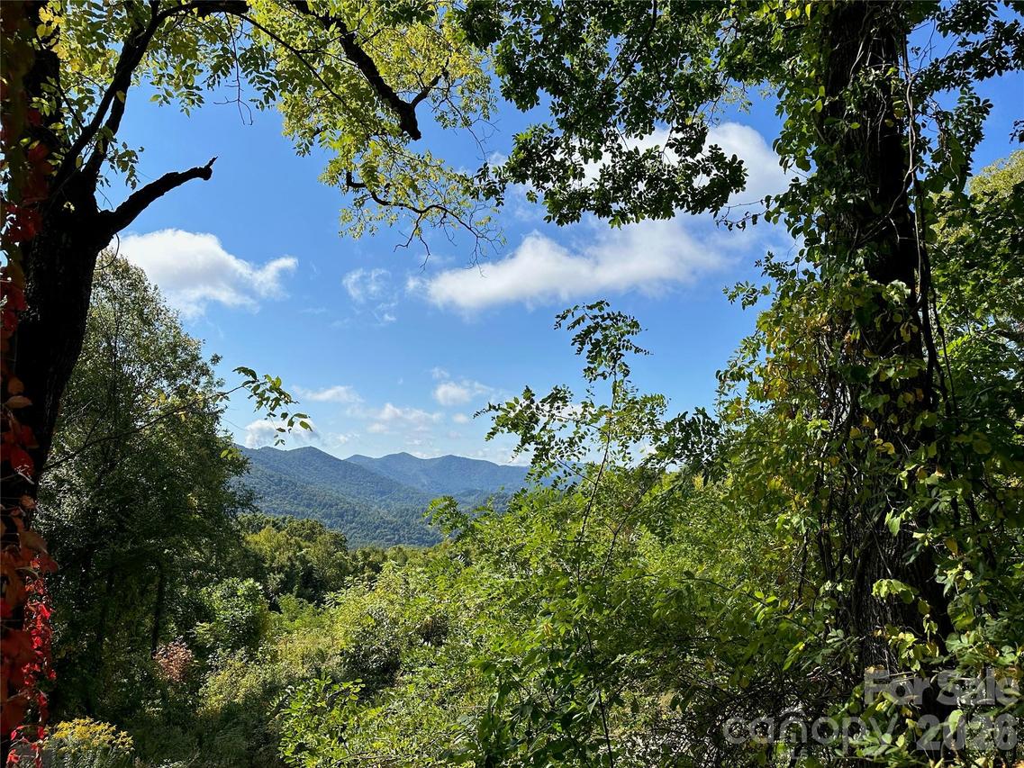 00 High Rock View Dr., Canton, NC 28716