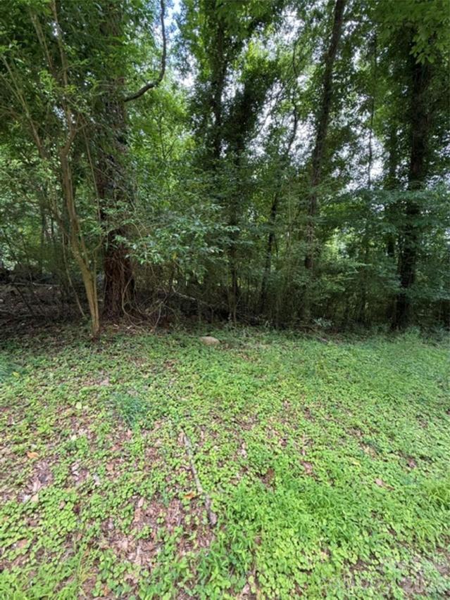 00 Lake Head Rd., Norwood, NC 28128