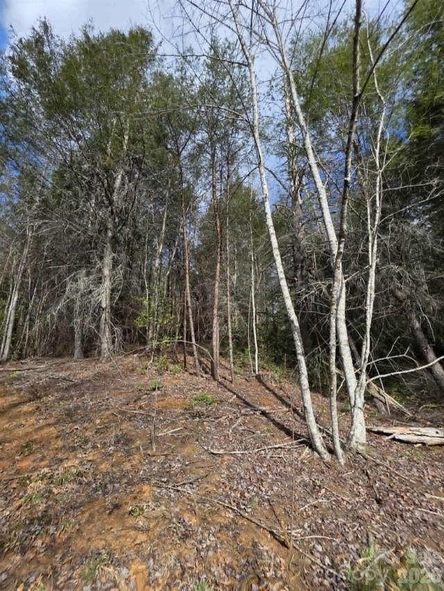 Lot 4 Kerlee Ln., Old Fort, NC 28762