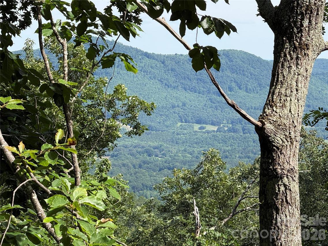 Arbra Mountain Way #54, Bostic, NC 28018
