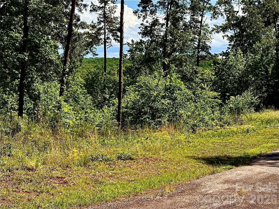 Lot 261 Rock Ledge Dr., Lake Lure, NC 28746