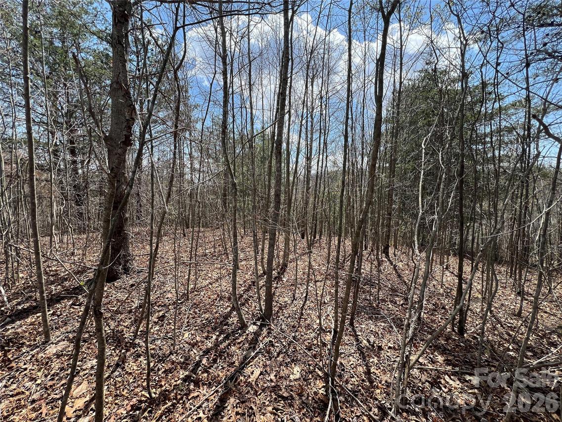 192 Pine Cone Tr. #21, Marshall, NC 28753