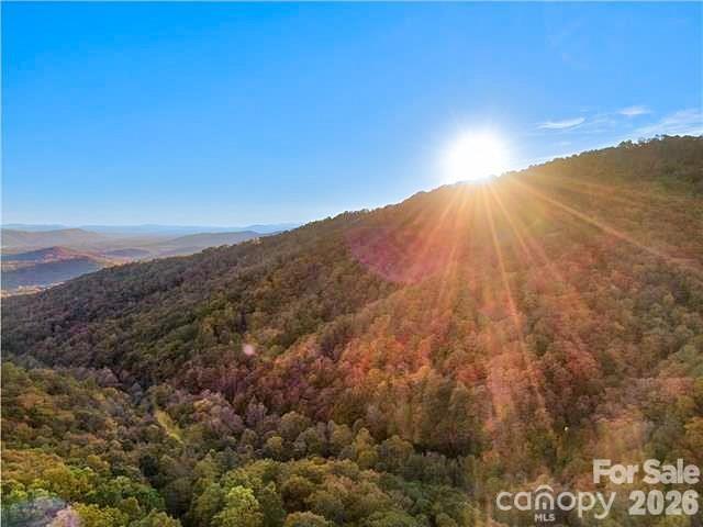 99999 Red Oak Forest Rd. #1418, Fairview, NC 28730