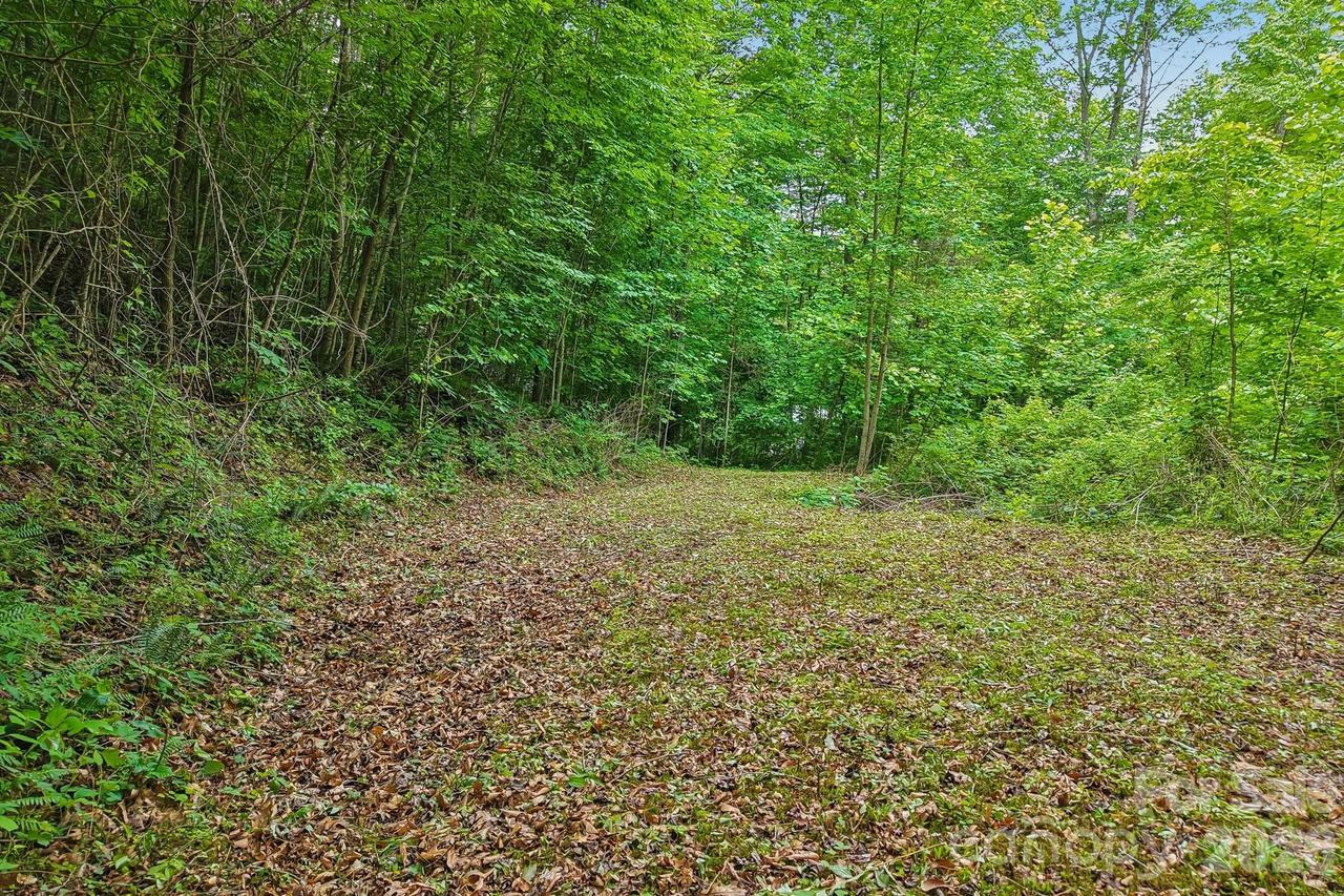 00 Sequoyah Dr., Waynesville, NC 29786