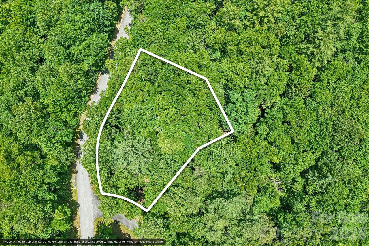 11 Magnolia Branch Dr., Zirconia, NC 28790