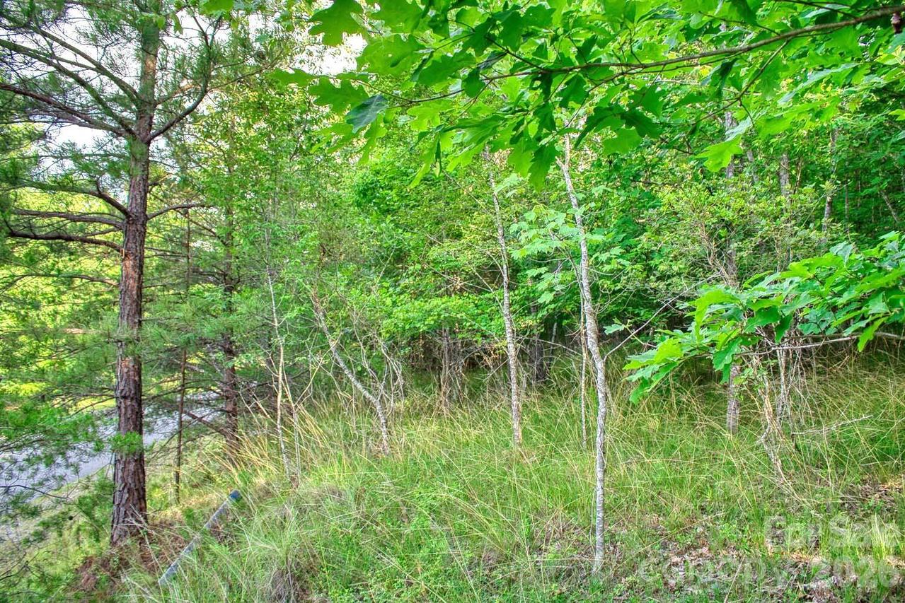 Cross Creek Dr. #68, Rutherfordton, NC 28139