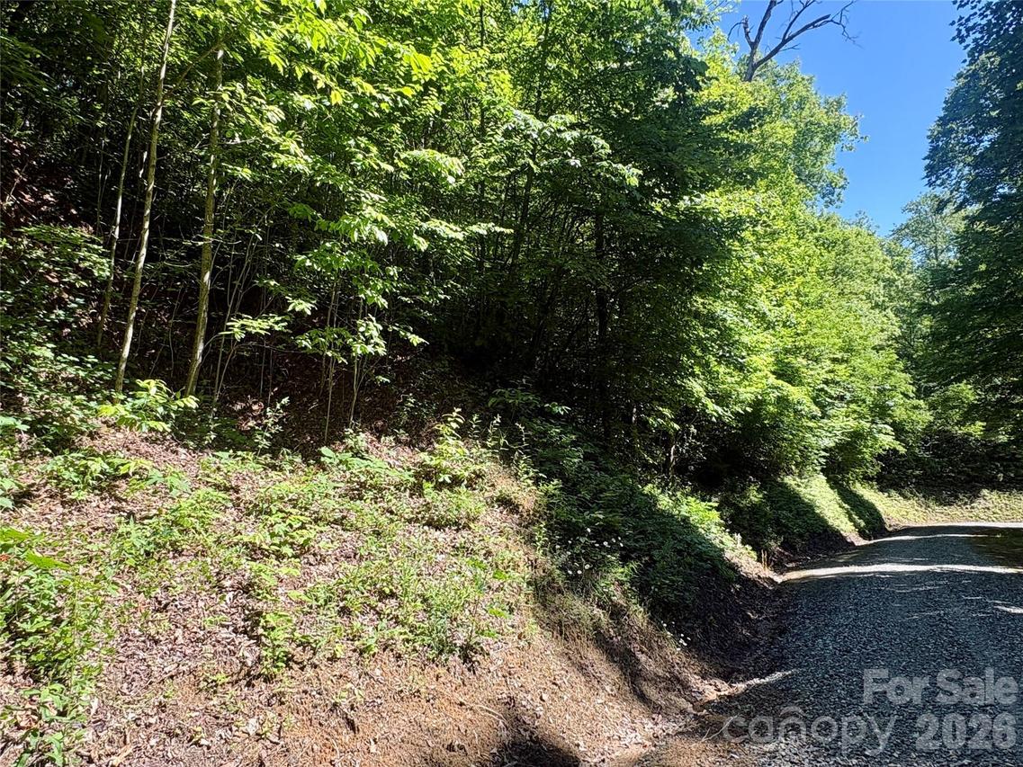 Middle Ridge #38, Whittier, NC 28789