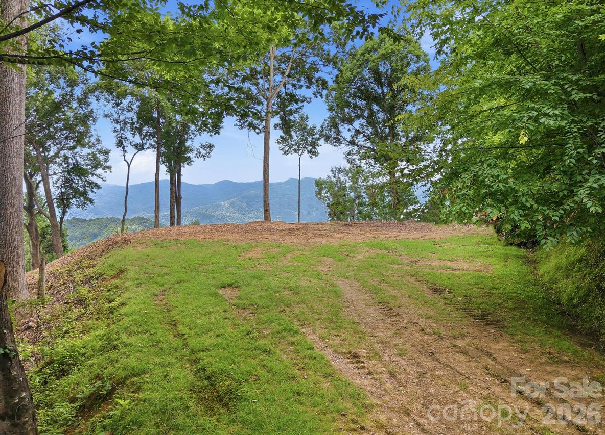 99999 Davidson Gap Rd. #79, Leicester, NC 28748