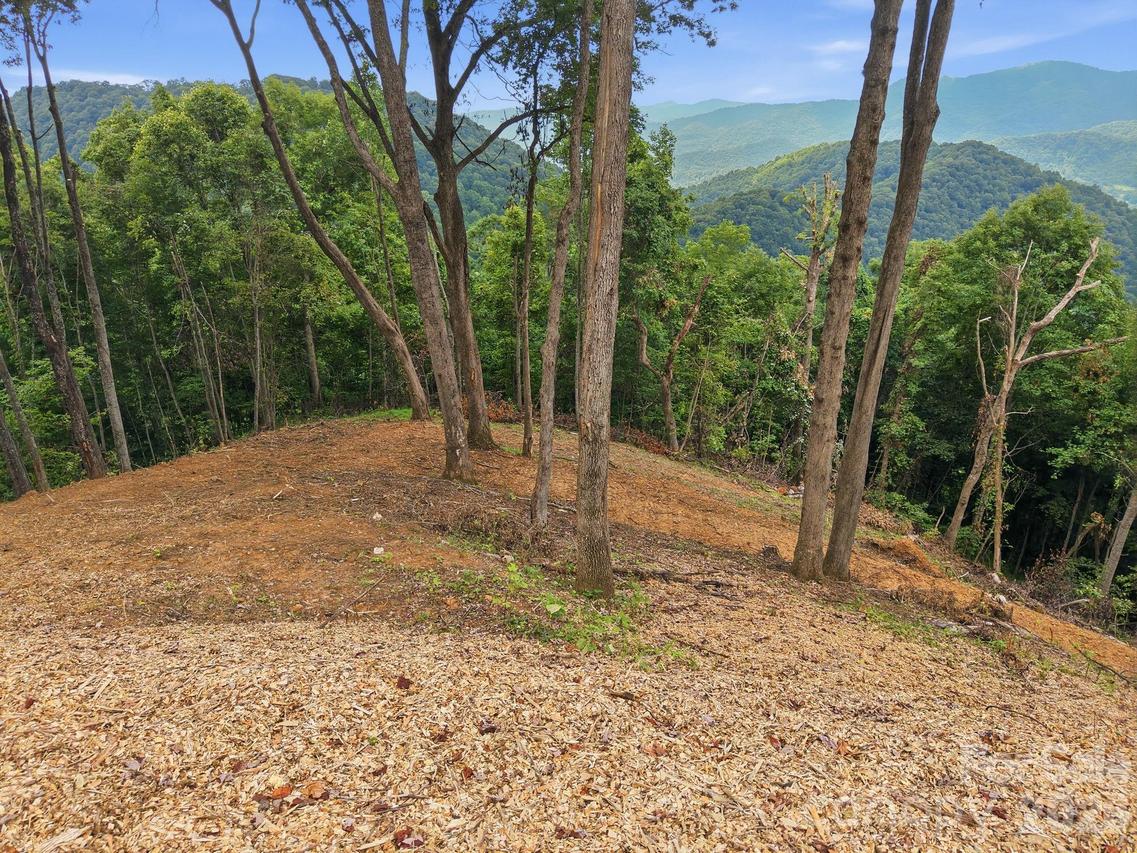 99999 Davidson Gap Rd. #79, Leicester, NC 28748