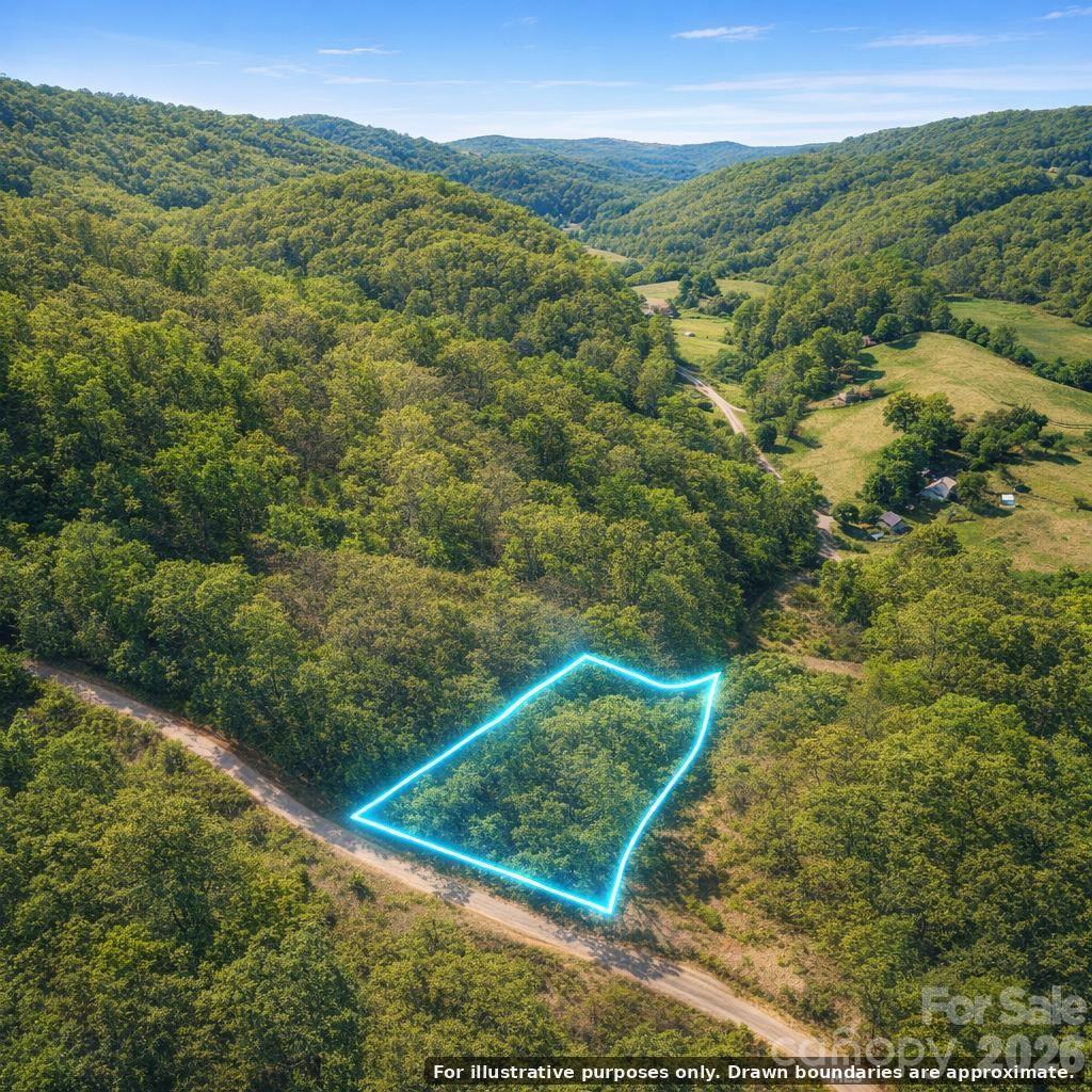 000 High Peak Dr. #2, Green Mountain, NC 28740