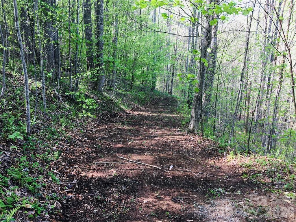 99 Fern Hill Dr., Mars Hill, NC 28754
