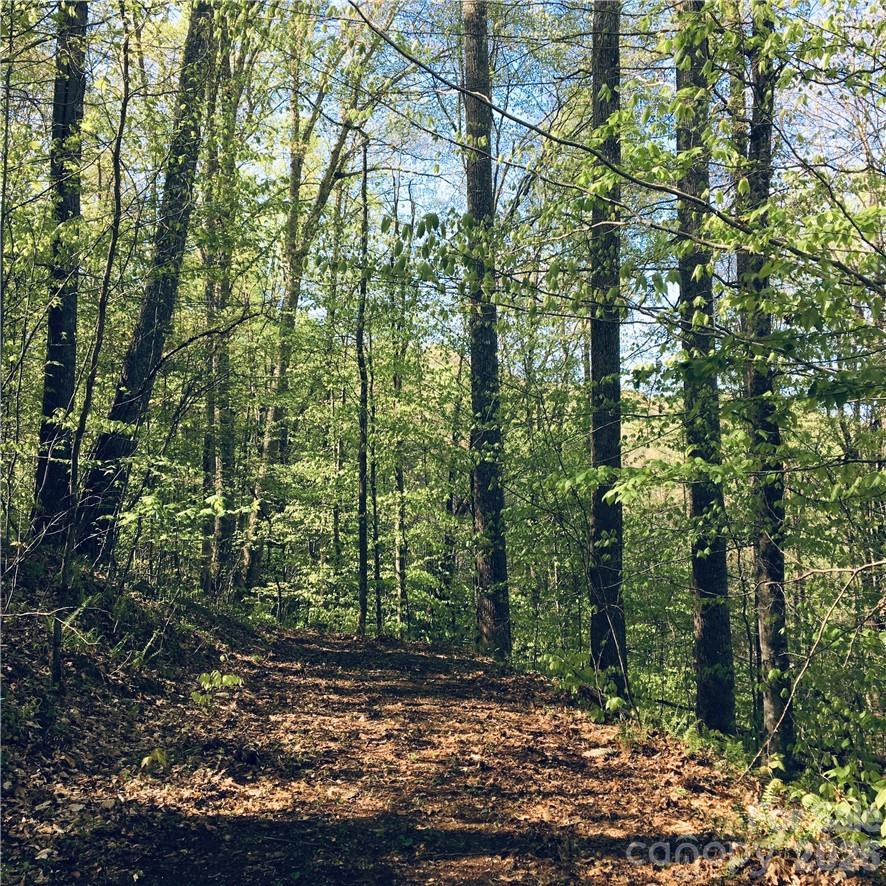 57 Fern Hill Dr., Mars Hill, NC 28754