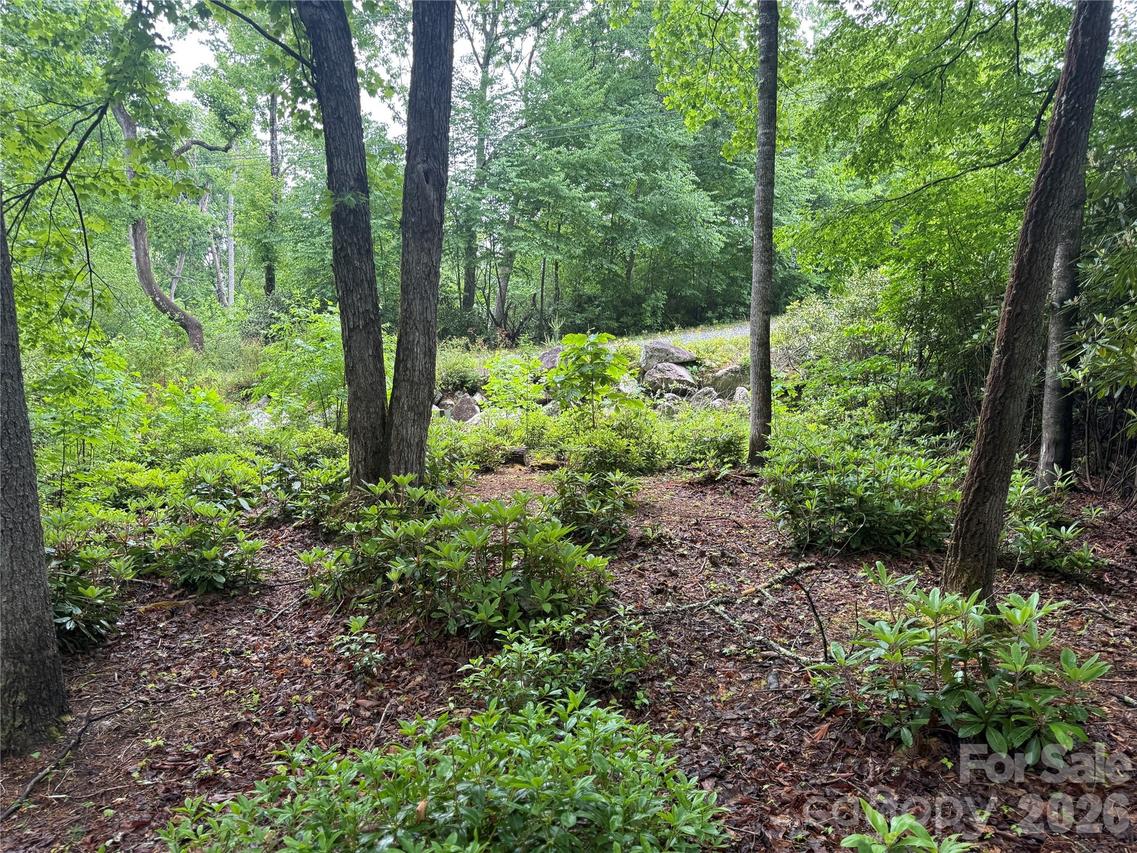TBD Dogwood Tr., Spruce Pine, NC 28777