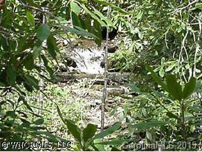 145 Water Glen Village, Waynesville, NC 28786