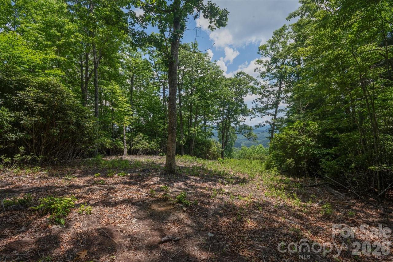 TBD Reserve Rd. #16, Pisgah Forest, NC 28768