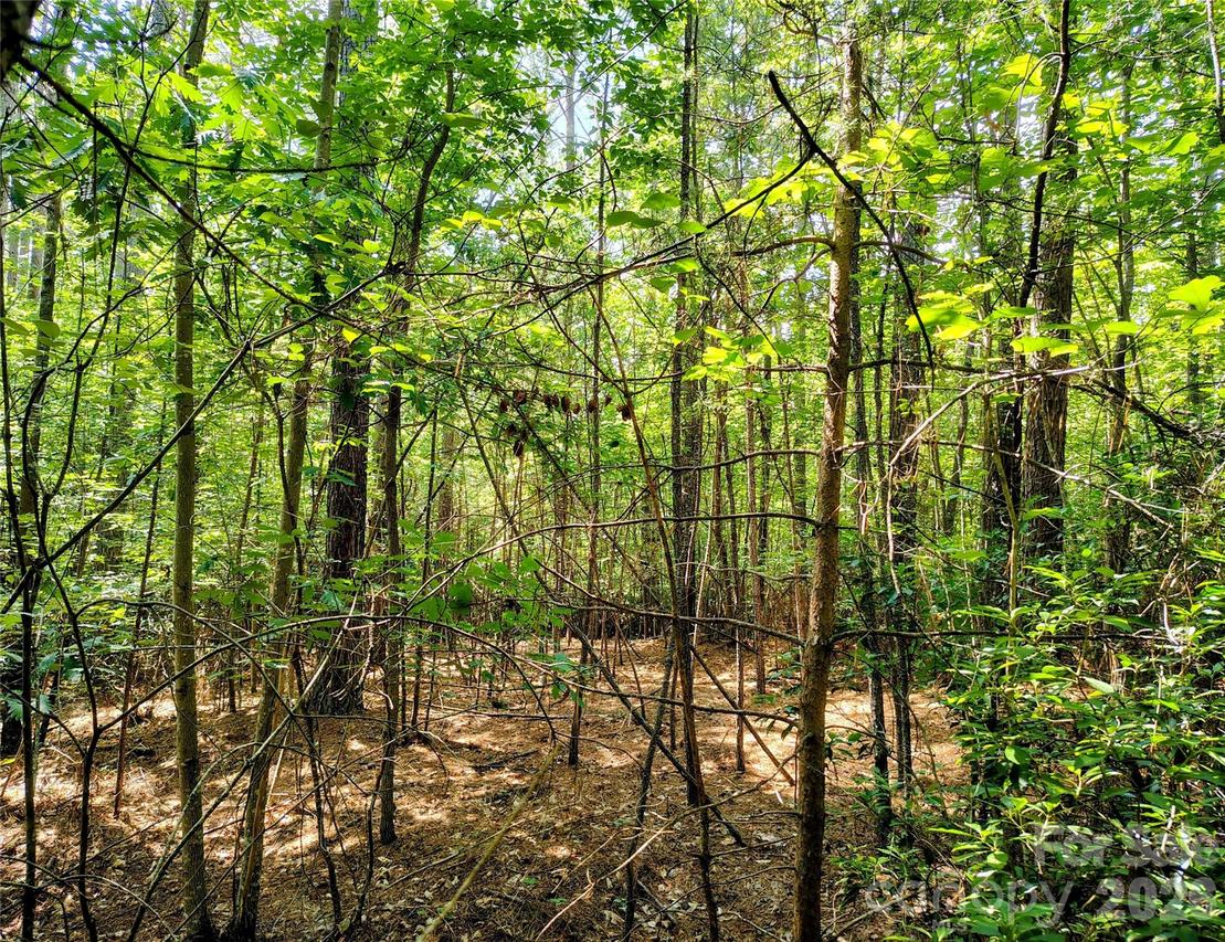 210 Harbor Ridge Dr., Connelly Springs, NC 28612