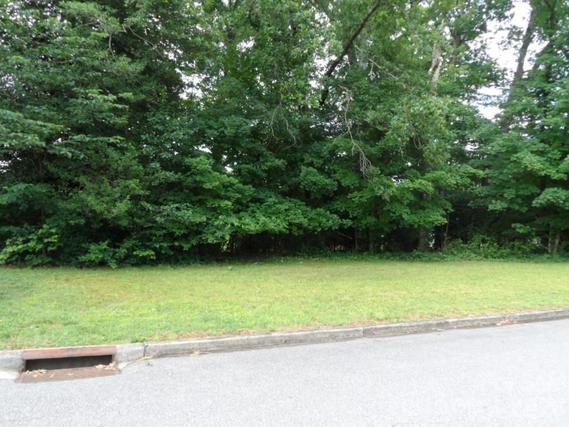 New Homes For Sale This Week That Attend Forest Hill Elementary: June 5th to June 11th