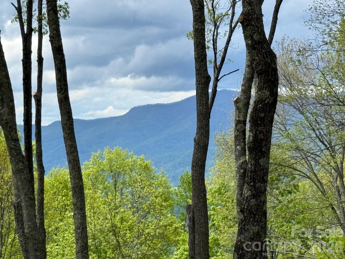 1817 E Reach Rd. #216, Sylva, NC 28779