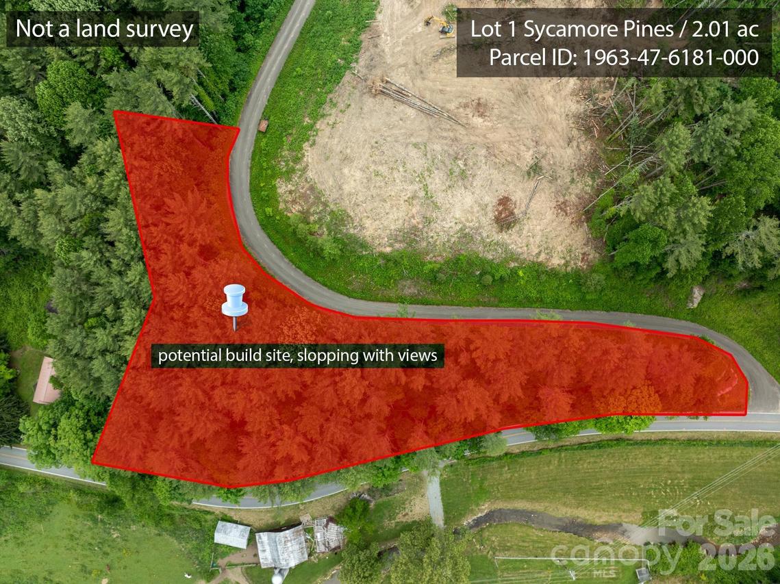 TBD Sycamore Rd., Vilas, NC 28692