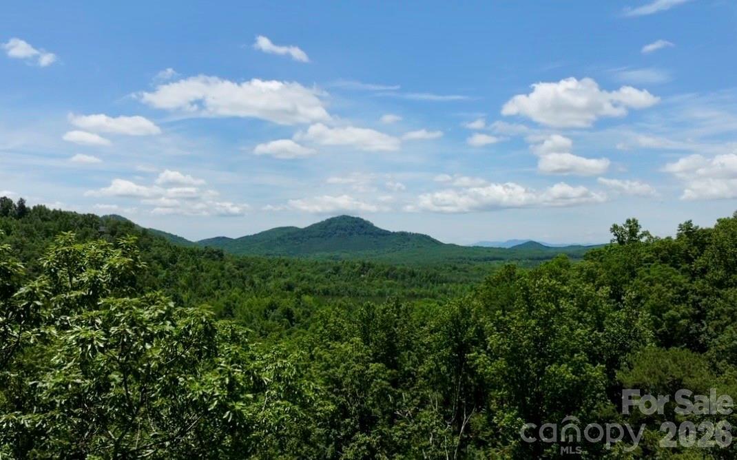 108 Mountain Brook Tr., Nebo, NC 28761