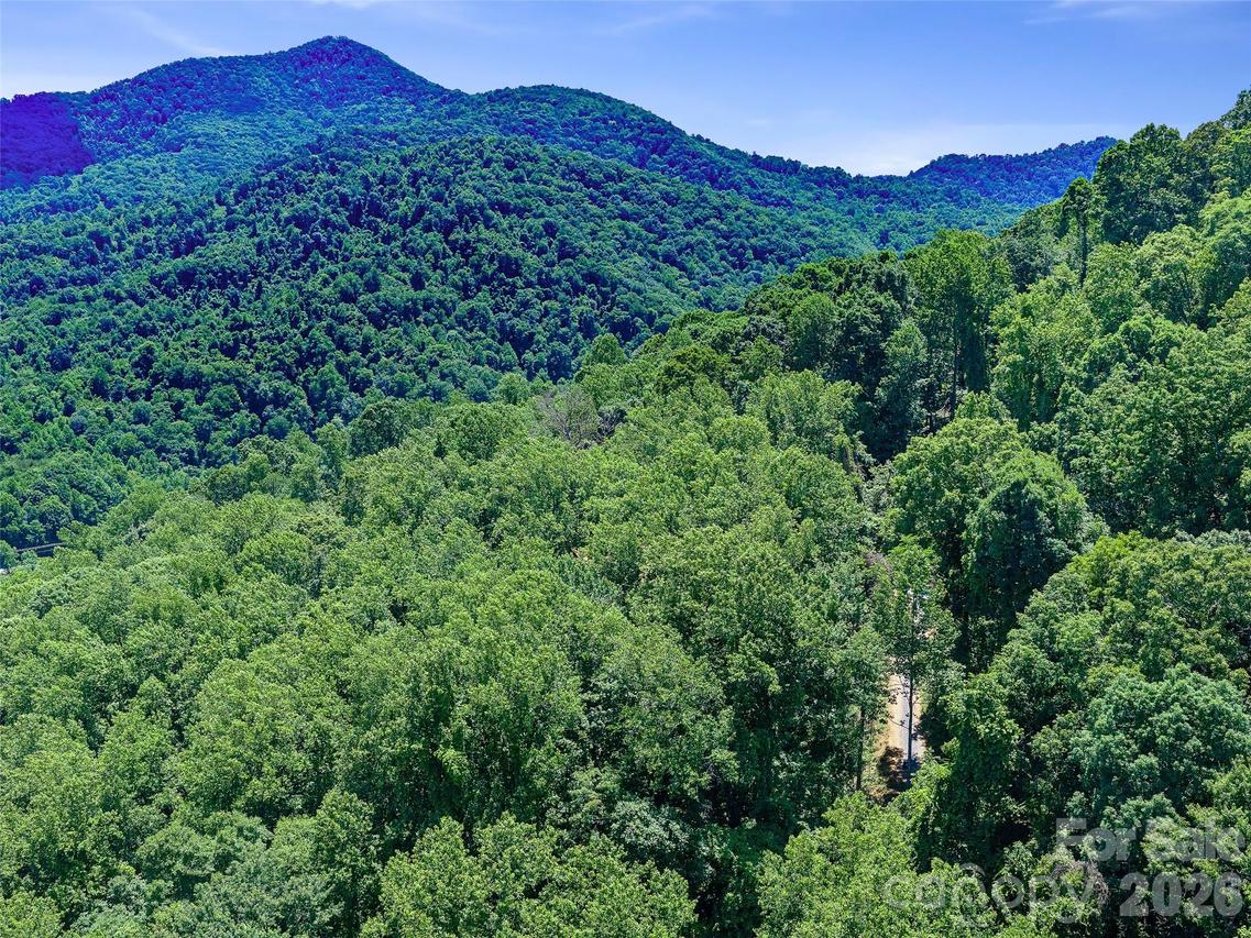 9999 Lovebird Ln. #19, Candler, NC 28715
