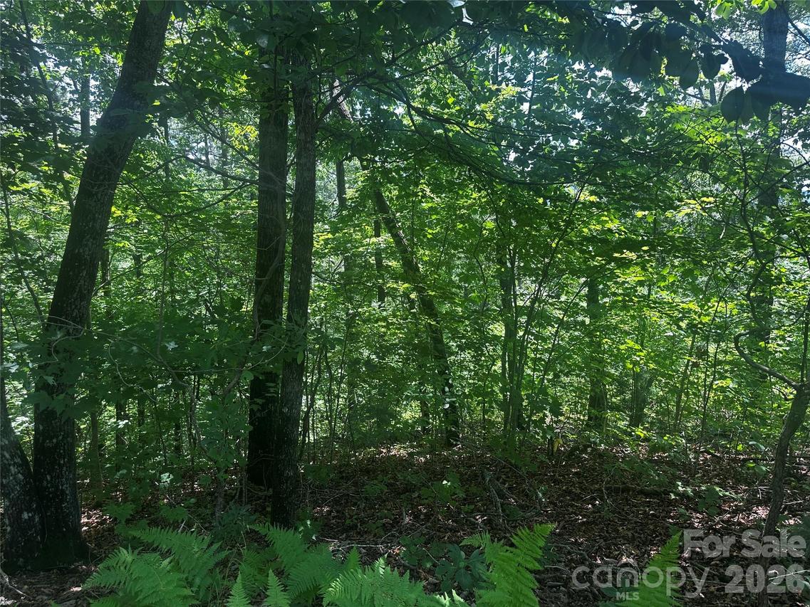 South Dr., Lake Lure, NC 28746