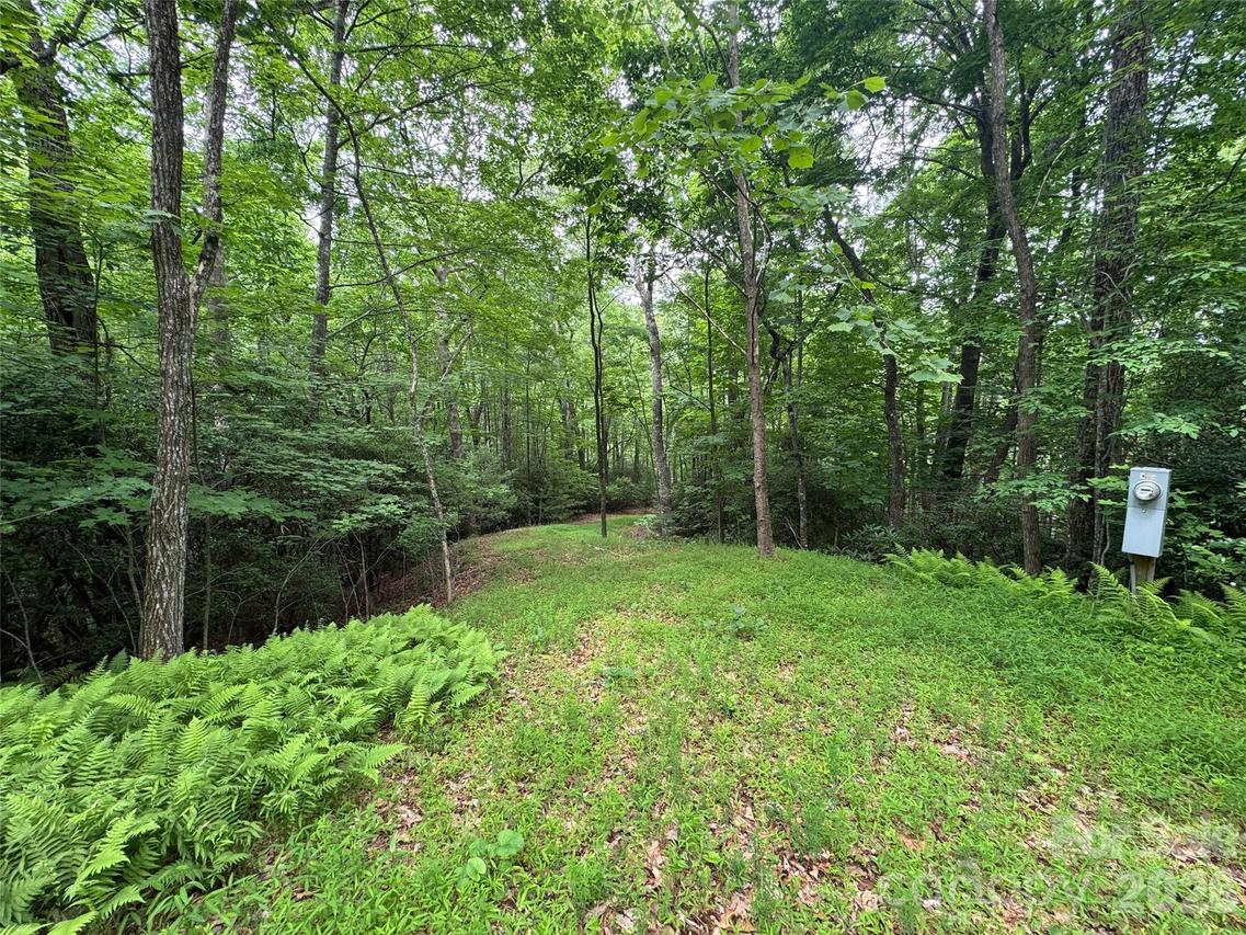 000 Chestnut Oak Ln., Pisgah Forest, NC 28768