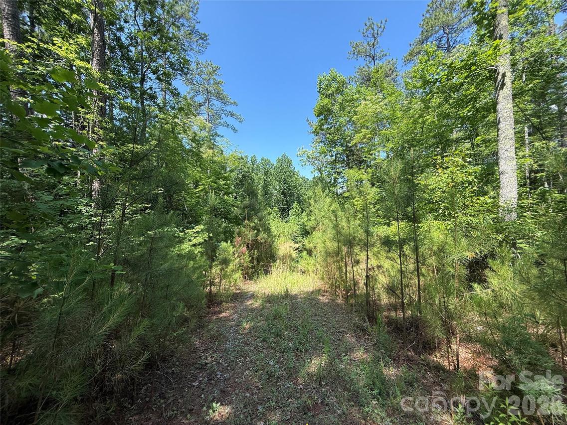 206 Corry Ln., Bostic, NC 28018