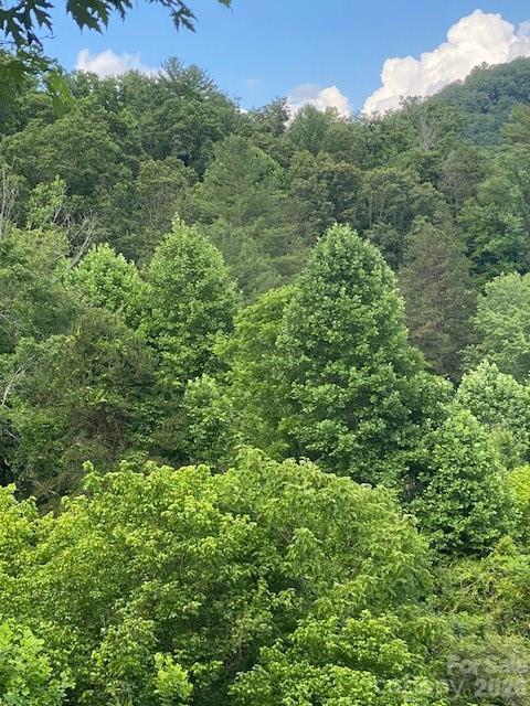 000 East Fork Rd., Marshall, NC 28753
