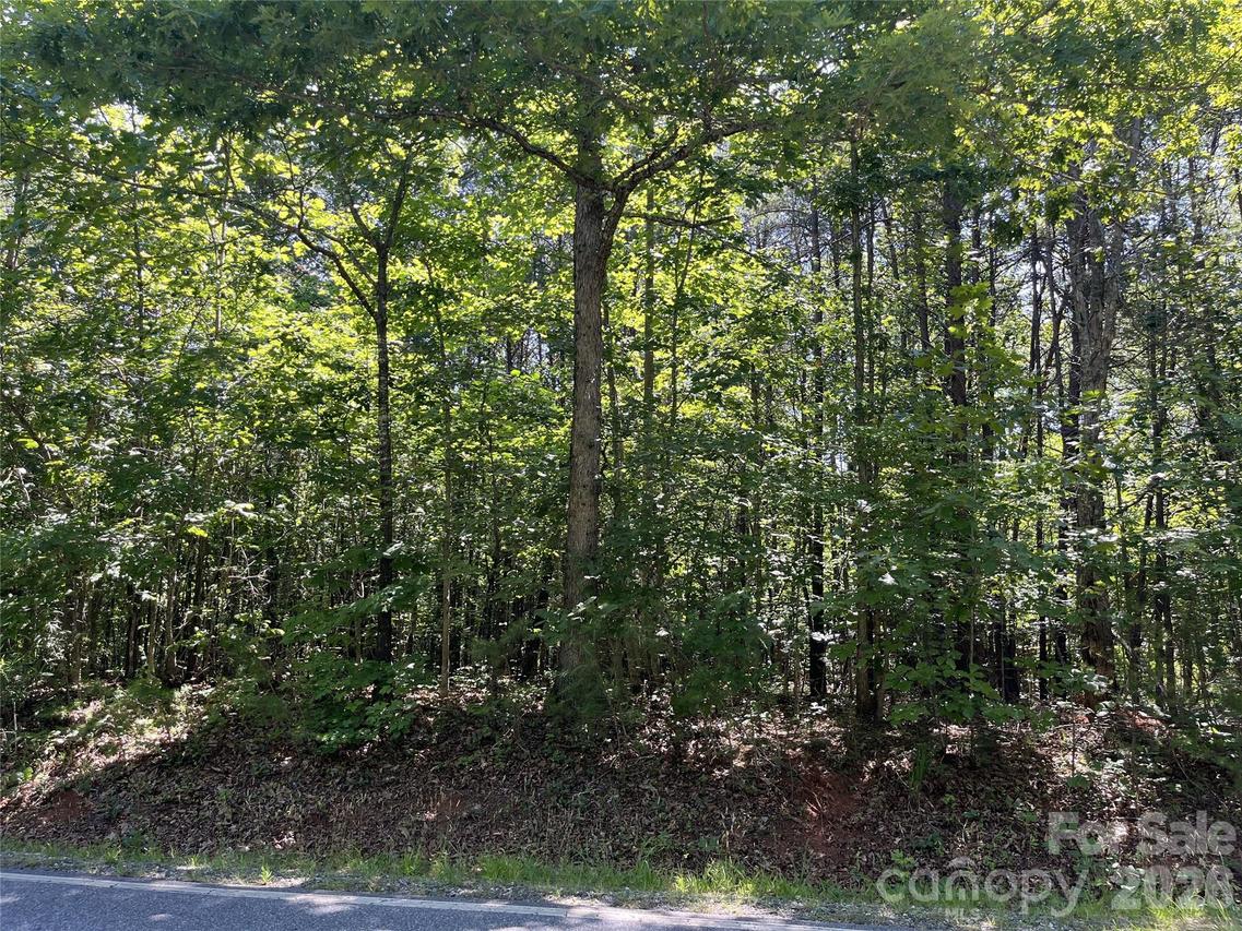 Rock Rd., Rutherfordton, NC 28139