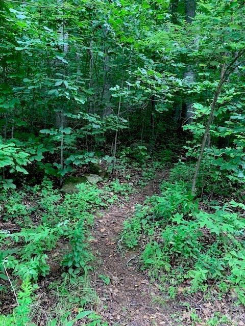 tbd Whitewater Cove, Montreat, NC 28757
