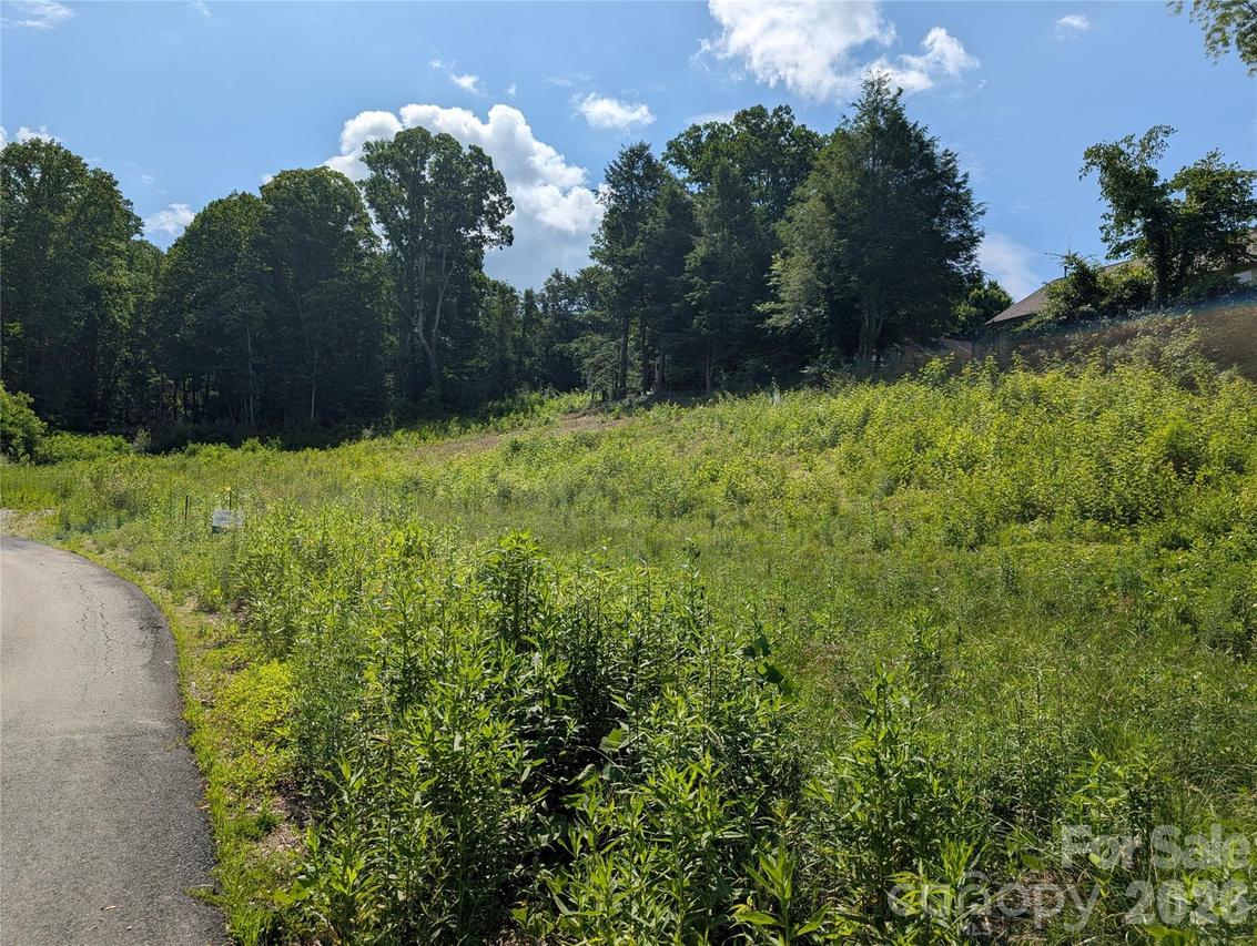 119 Randolph Ave., Black Mountain, NC 28711