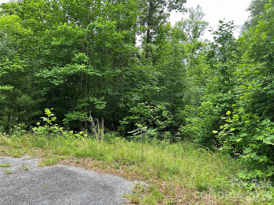 Silverstone Dr. #16 & 17, Hendersonville, NC 28792