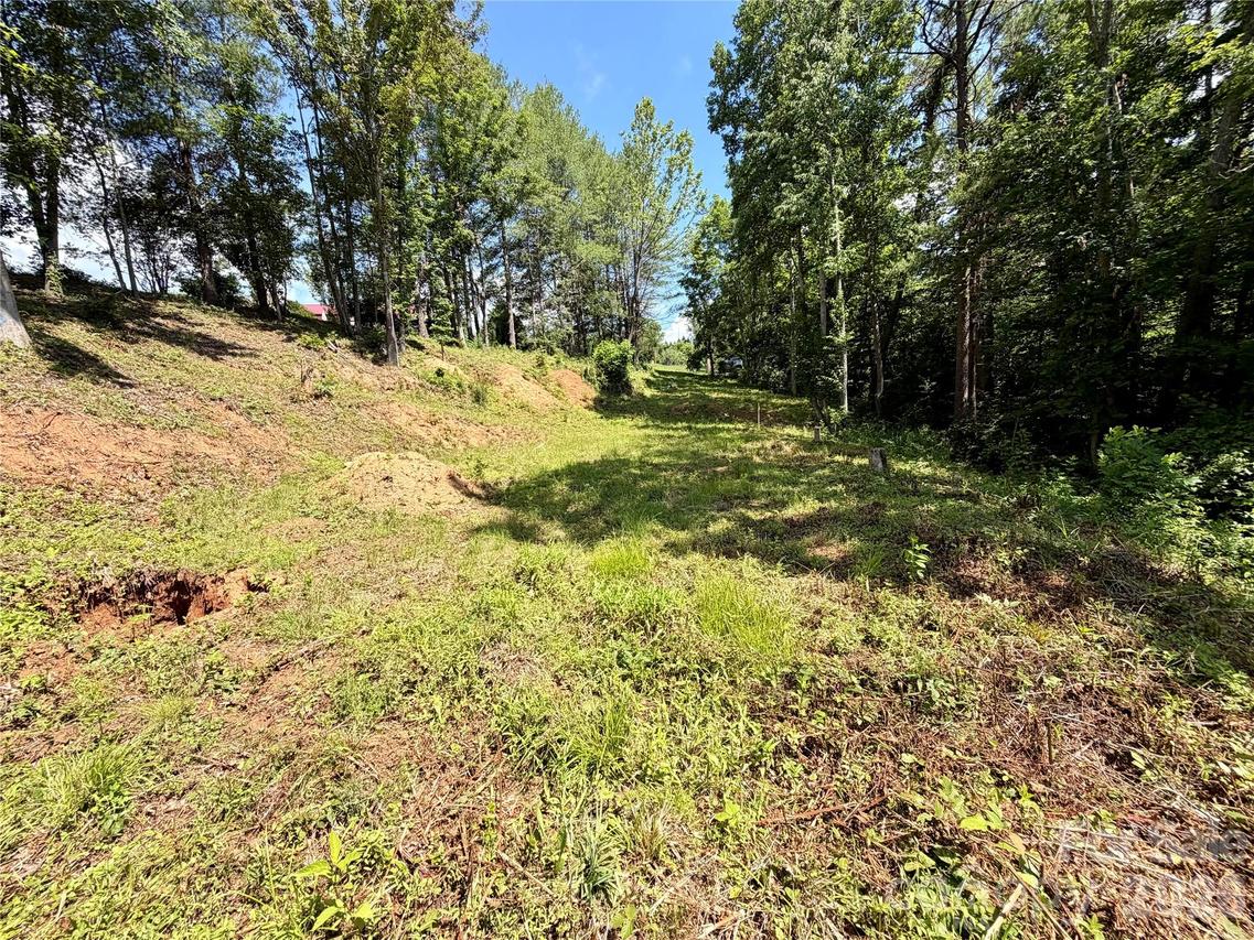 12 Willow Knoll Dr., Weaverville, NC 28787