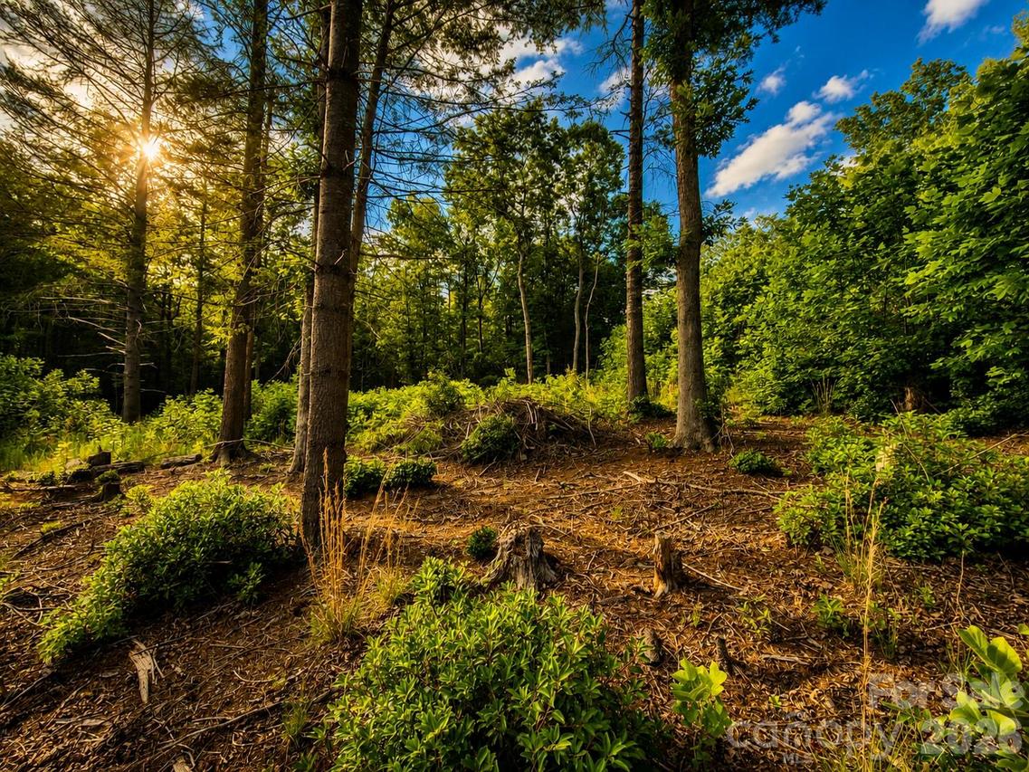 201 Cross Creek North Ridge Dr. #46, Marion, NC 28752